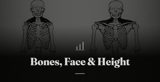 Skool course cover: Bones, Face & Height